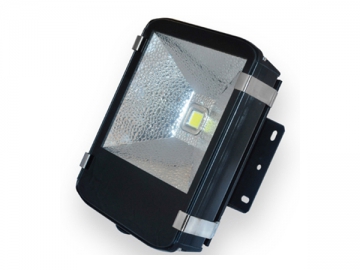 LED Outdoor Light